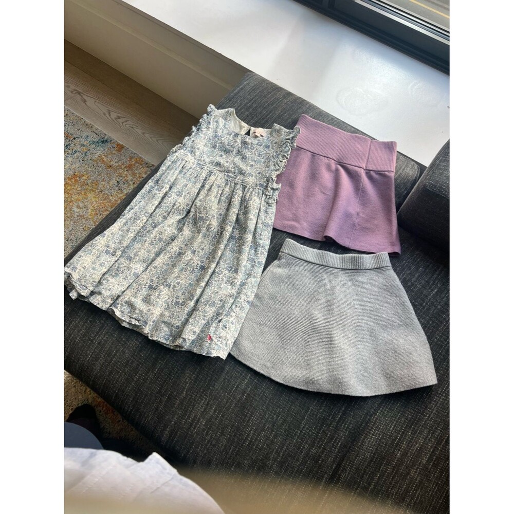 Pink chicken / Zara little girl dress and skirt bundle